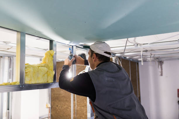 Best Commercial Insulation Contractor  in Valley View, OH