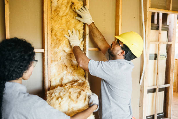 Professional Insulation Contractor in Valley View, OH