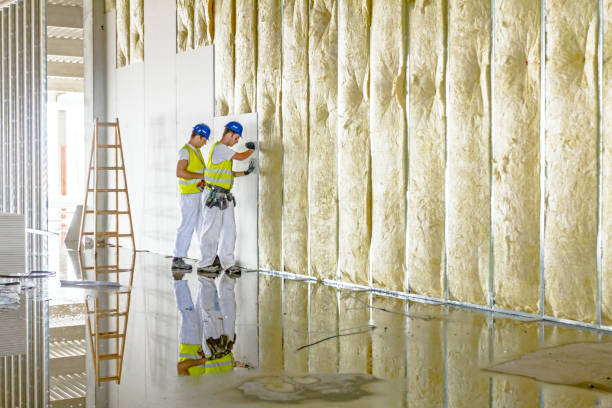 Insulation Replacement Services in Valley View, OH